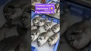 Автобусно-экскурсионные туры в Европу