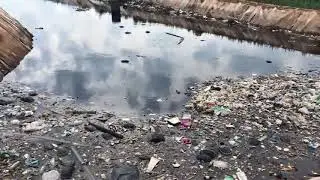 Свалка Ядрово Волоколамск 24 июня 2018
