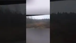 20 ноября 2022 г.