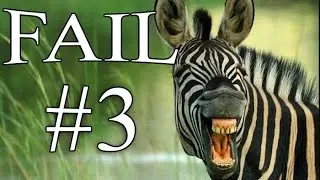 THE MOST SELECTED JOKES (APRIL 2017) THE BEST FUNNY JOKES # 3