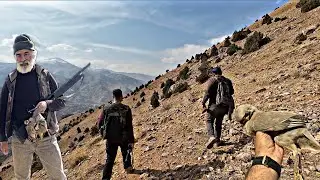 Partridge Hunting at 2500 Meters Altitude | A Surprising Encounter with Atom Ant Barış Ataş!
