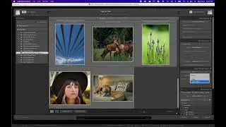 Lightroom Classic 2022 - Importing into LRc from Bridge