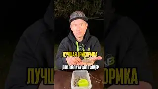 Прикормка больше не нужна! 