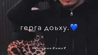 Сийна ши б1аьрг 2020