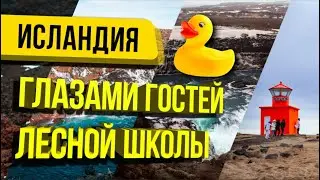 Непредвзятый рассказ о Лесной Школе от подписчика Оляши Александра