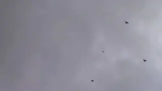 Пермские гривуны