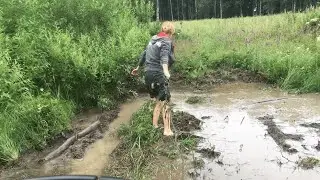 Как собирают грибы 