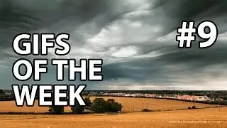 Gifs of the week #9