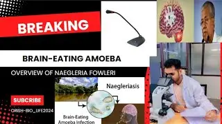 About recent case of  Naegleria fowleri