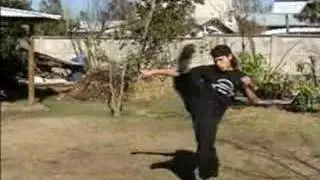Kung Fu Caballos Rampantes forma Potro 2