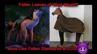 I think ZOS just proved me right