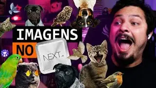 Como usar imagens no Next.js?