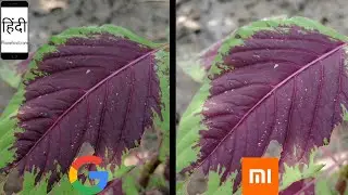 Mi A3 Google Camera (GCam) vs Mi Camera (Stock Camera)