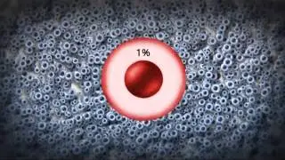 Лечение стволовыми клетками