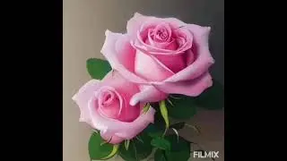 Her şeyimsin Sen Benim