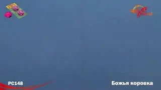 Фейерверк 