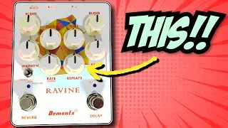 Budget ambience just got REAL! Demon FX Ravine Reverb Delay