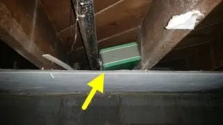 This Guy Was Ripping Down A Wall In His Basement When He Found A Box Full Of Life-Changing Treasure