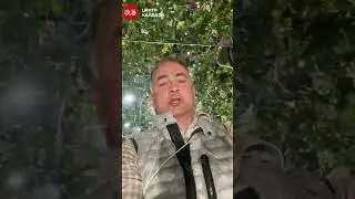 Япония глазами Кайдзэн. Выпуск№1