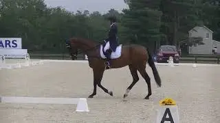 Lynn Symansky & Global Cassero 3 CCI 2star Dressage