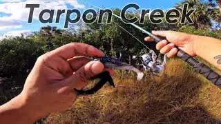 Fishing HIDDEN CREEK For TARPON