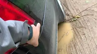Октавия