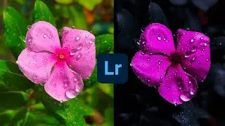Lightroom Mobile Presets Free Download DNG || Lightroom Mobile Photo Editing Tutorial