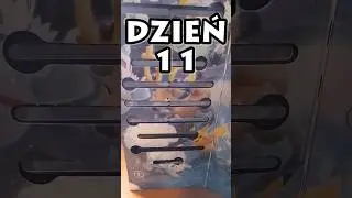 Pokemon TCG - Kalendarz adwentowy 2023 - Dzień 11 / Karty Pokemon