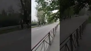 велосепдисты