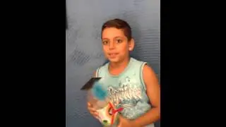 Nova Vida Solar