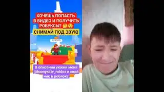 11 мая 2024 г.
