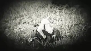 Red Dead Redemption 2: rip