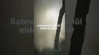 9 Şubat 2024