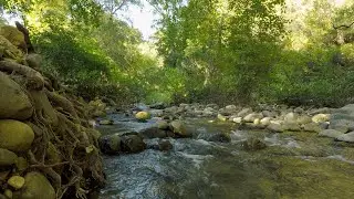 Water Sounds: Relax and Sleep Better