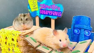 Hamsters in the underwater world of SpongeBob | Syrian and Dzungarian hamsters