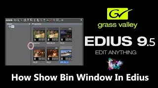 how to Show/ Hide Bin window in Edius 9 Tutorial in Urdu,Hindi