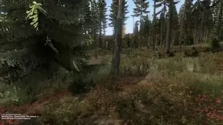 DayZ 0.62 Охота на волков. в 15.30 мск