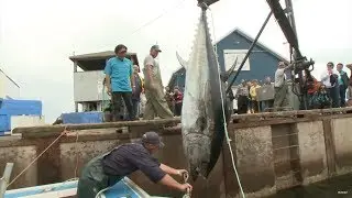 #130 【PART1】世界一忙しい釣り具屋のオヤジ、黒マグロに挑む～カナダ　プリンス・エドワード島～