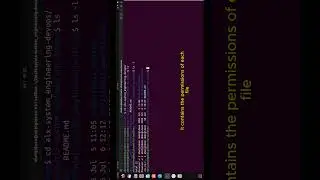 How to use command options in the linux terminal 