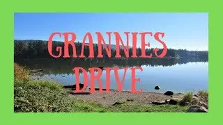 Drive with Granny