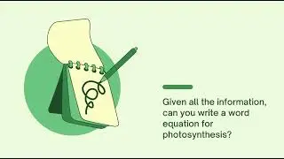 Photosynthesis | Presentation by Rashail Anwar.