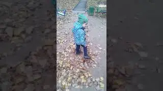 листья
