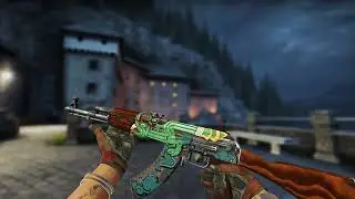 FalleN's Inventory. CS:SO