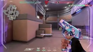 Ace iso