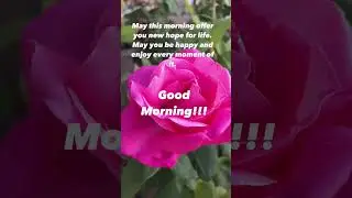 Good Morning Everyone!! Happy Saturday🙏🙏 #lifeqoutes