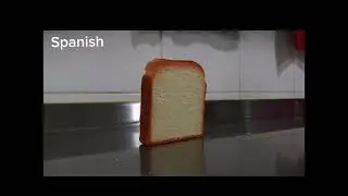 Bread falling over in 8 languages