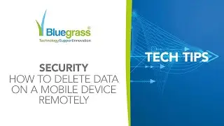 Can you delete data from your devices remotely?