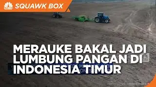 Mentan Yakin Merauke Jadi Lumbung Pangan Indonesia Timur