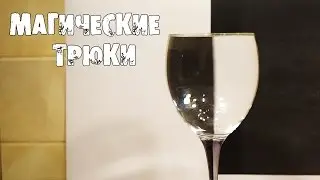 5 TRICKS AND TRICKS THAT YOU CAN SURPRISE YOUR FRIENDS WITH for the New Year 2025