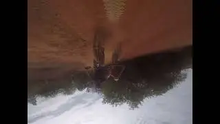MTB Arthur Nogueira